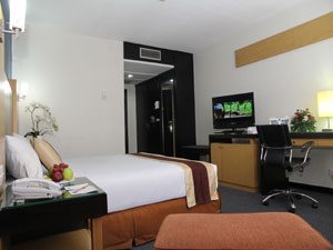 Executive-Deluxe-4